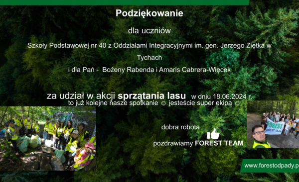 podziękowanie _szkoła.pptx sprzątanie lasu